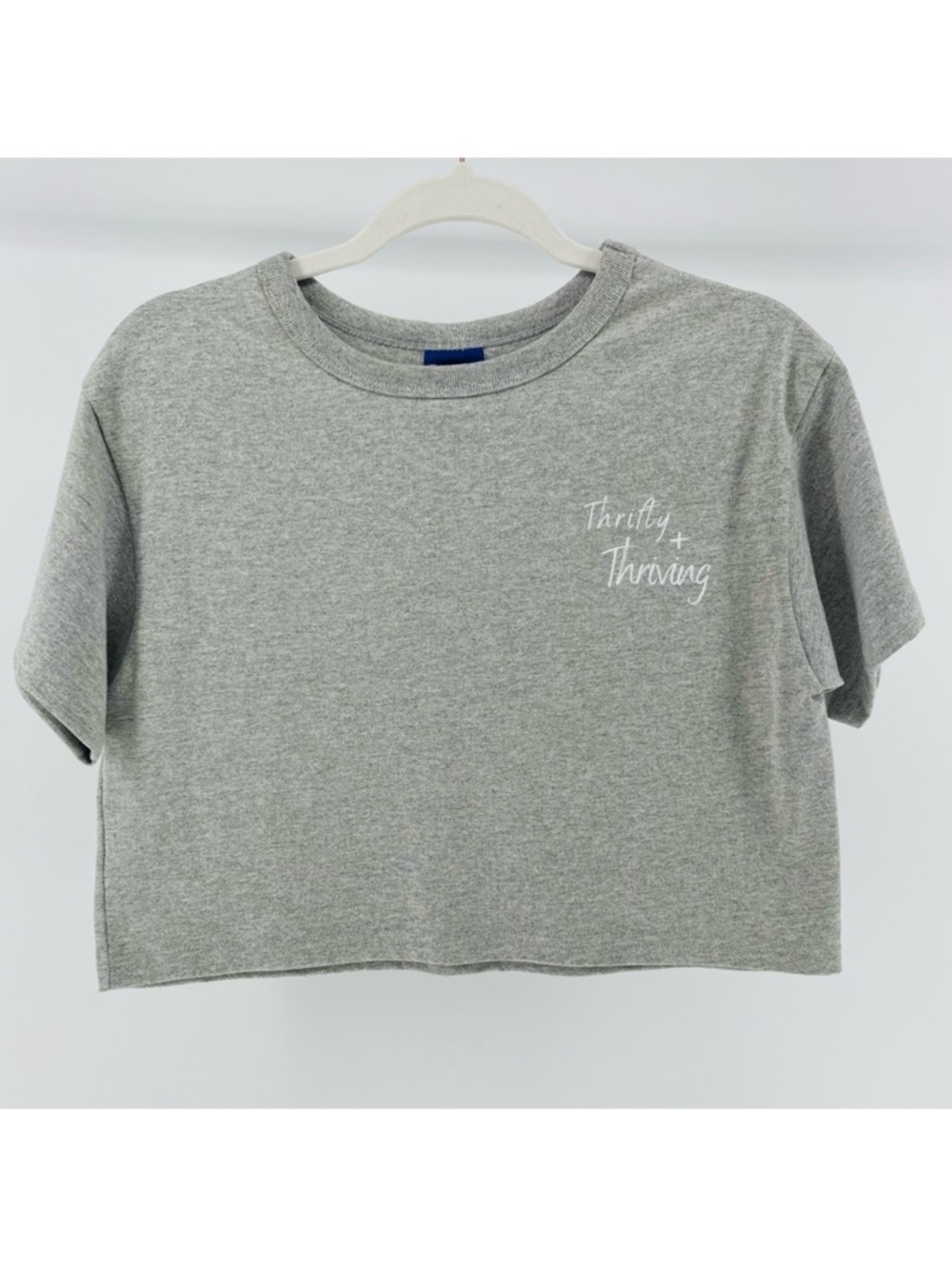 “Thrify + Thriving" Printed Champion Short Sleeve Cropped Tee in Grey